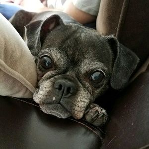 Meet your Posher, Jackie